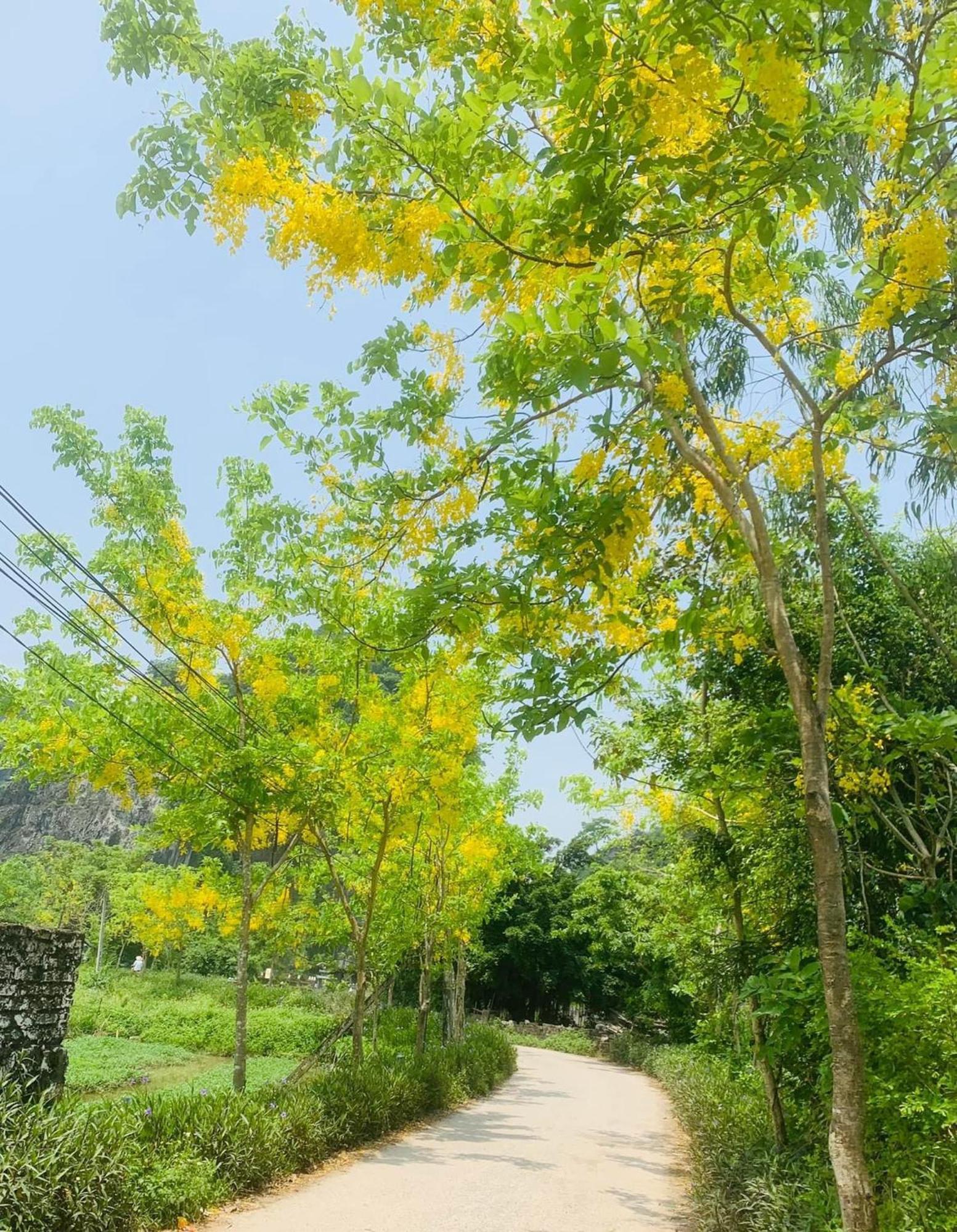 Tam Coc Min House Hotel Vu Lam Exterior photo